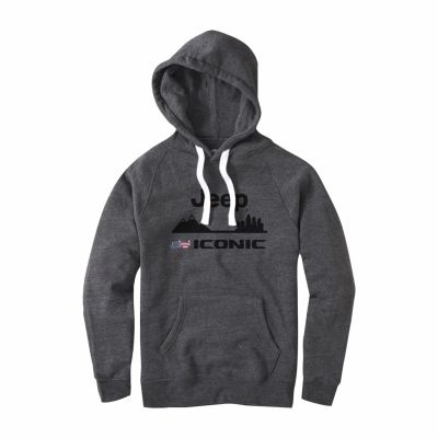 Iconic Unisex Sportiqe Hoodie